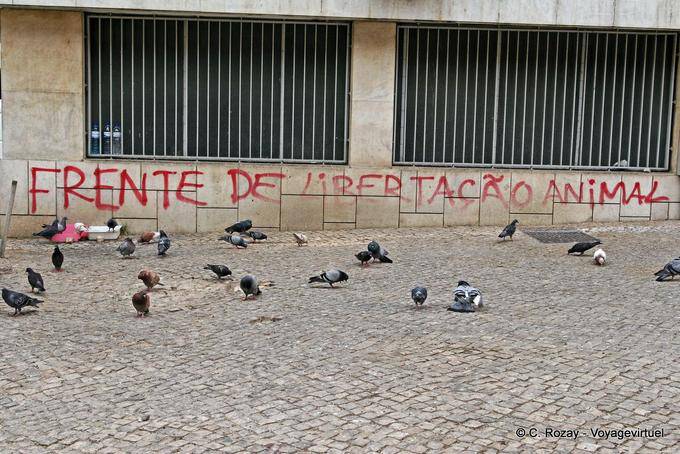 Frente de Libertação animal, Estrela, Lisbon - Portugal