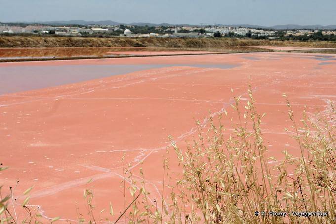 Salt marsh to Tavira - Portugal