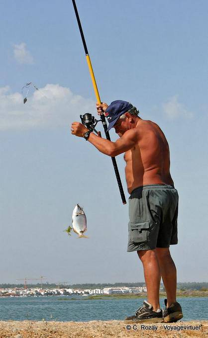 The fisherman and his fish, Tavira - Portugal