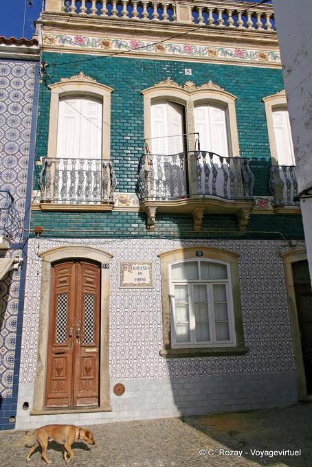 The dog and the tiles, Travessa do Forno, Tavira - Portugal