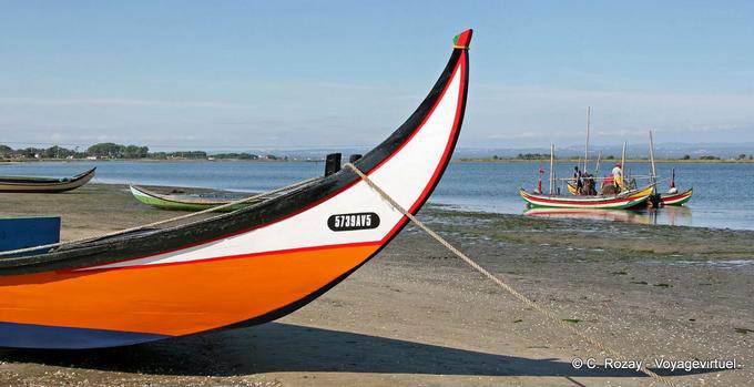 At the edge of the lagoon of the Rio Vouga, Torreira - Portugal