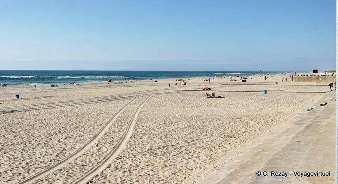 The long beach of Torreira - Portugal