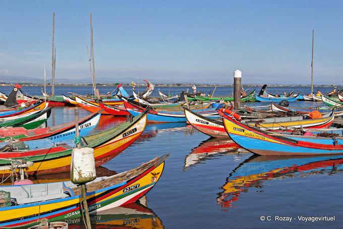 Colony Moliceiros, Torreira - Portugal