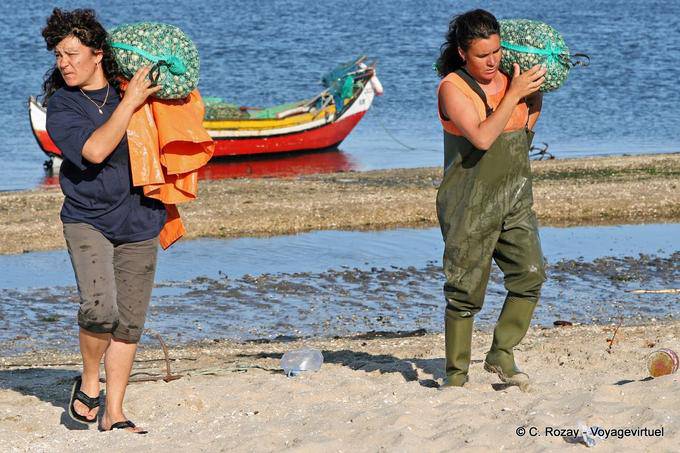 Shells on the shoulder, Torreira - Portugal