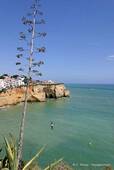 The symbol of the Algarve and cliffs of Carvoeiro, Portugal.