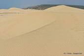 The huge dunes of Carrapateira, Portugal.