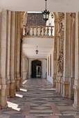 Marble columns, forecourt of the Hall of the University, Coimbra, Portugal.