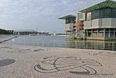 The large basin at the foot of the Lisbon Oceanarium, Portugal.