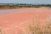 Salt marsh to Tavira, Portugal.