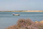 The boat, route des Quatro Águas, Tavira, Portugal.