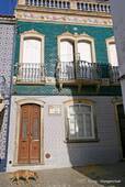 The dog and the tiles, Travessa do Forno, Tavira, Portugal.