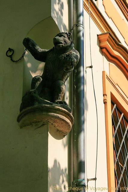 Karlova, l'ours enchainé - Prague, Czech Republic
