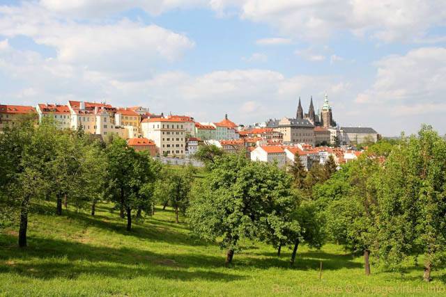 Malá Strana, les arbres de la Colline de Petrin - Prague, Czech Republic