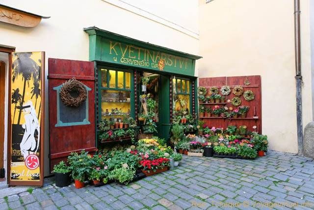 La boutique du fleuriste, Velkopřevorské Namesti, Malá Strana - Prague, Czech Republic