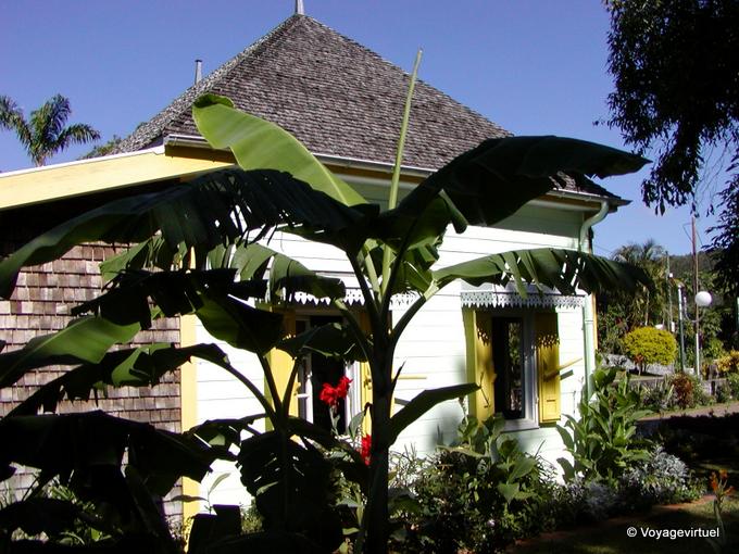 And banana box Entre-Deux - Reunion