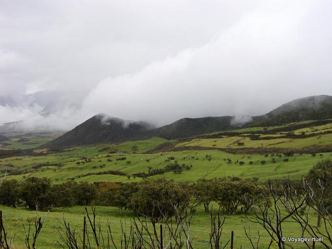 Meadows and clouds on Downs Palmiste - Reunion