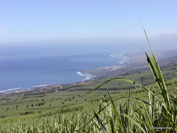 Panorama of the coast from the sugar cane fields - Reunion
