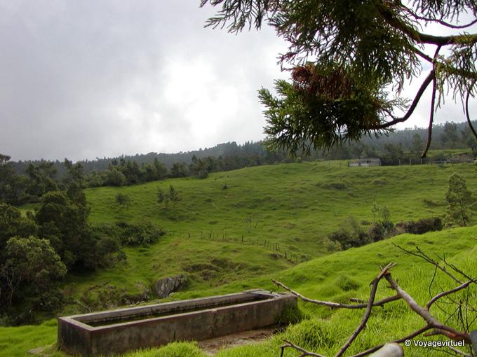 A bucolic pasture and a trough - Reunion