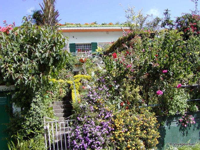 Roof flowery, Cilaos - Reunion