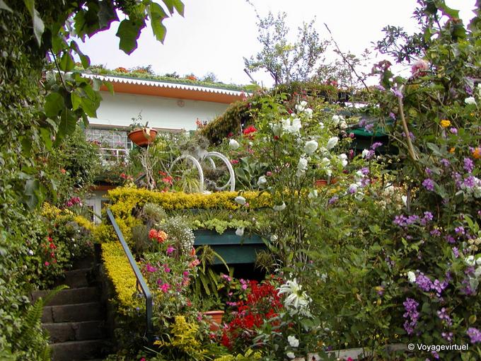 Case flowery Cilaos - Reunion