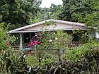 House hidden in the foliage, Entre-Deux, Reunion.