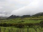 Meadows and clouds on Downs Palmiste, Reunion.