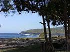 Washing, pandanus and cliffs to the tip of the Table, Reunion.
