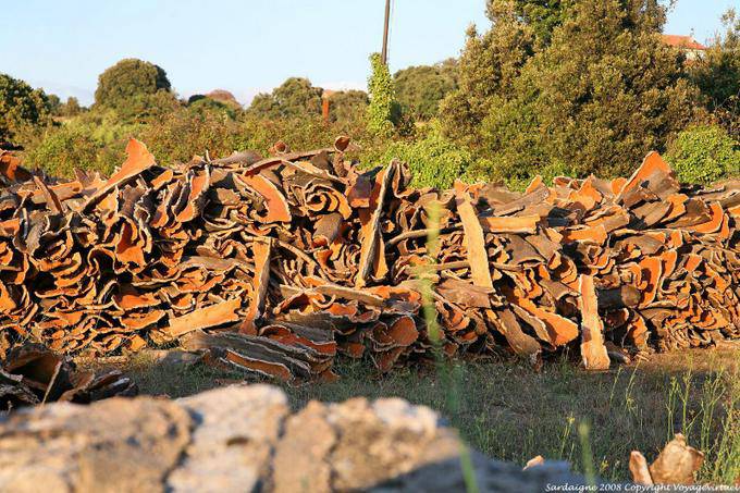 Calangianus, capital of cork - Sardinia
