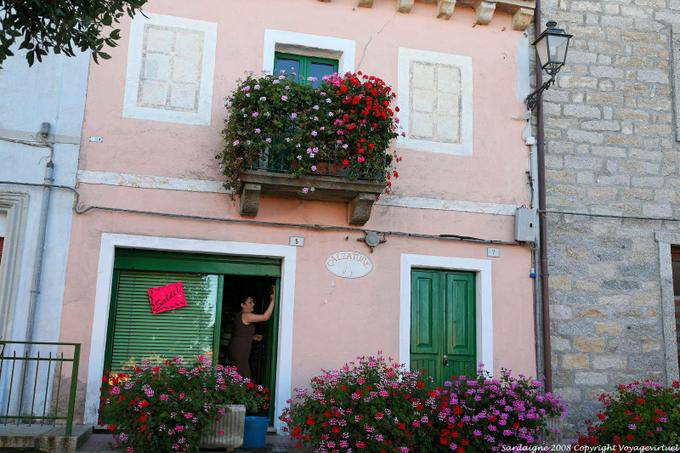 Luogosanto via Giuseppe Garibaldi, geraniums on Calzature - Sardinia