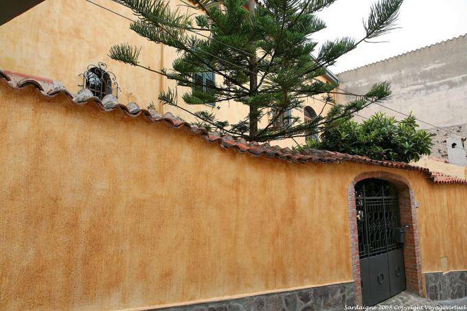 Orosei, wall and Araucaria - Sardinia