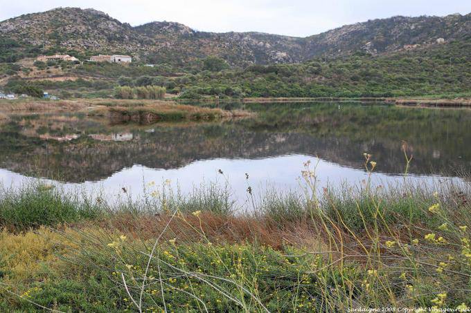 Palau, the Saline pond - Sardinia