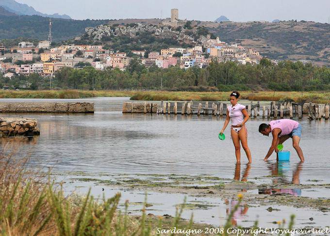 Posada Monte Longu, shellfish gathering - Sardinia