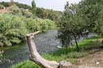 Fordongianus River, Sardinia.