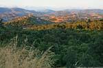 Luras landscape with Lake Liscia off, Sardinia.