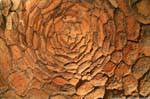 Nuraghe Santu Antine, nuragical vault, Sardinia.