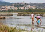 Posada Monte Longu, shellfish gathering, Sardinia.