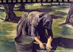 Sennariolo, olives collection, mural, Sardinia.