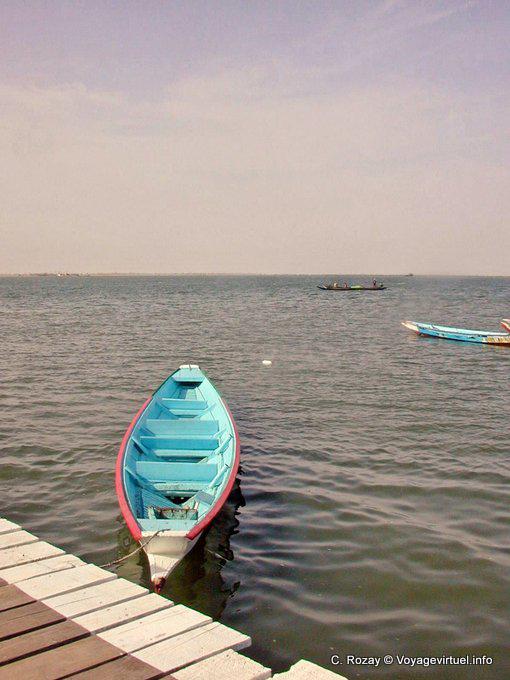 Blue canoe moored on the Saloum - Senegal