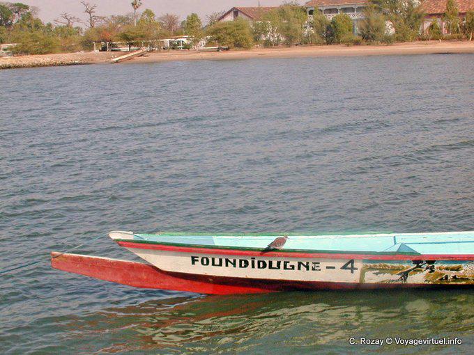 Pirogue on bird Foundiougne - Senegal