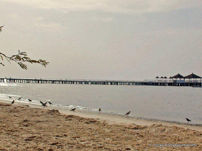 Beach Pier on the Sine Saloum - Senegal