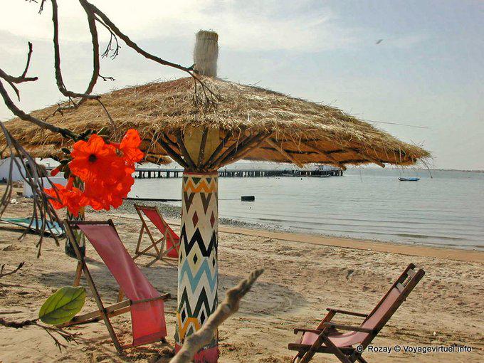 Hibiscus on the beach Foundiougne - Senegal