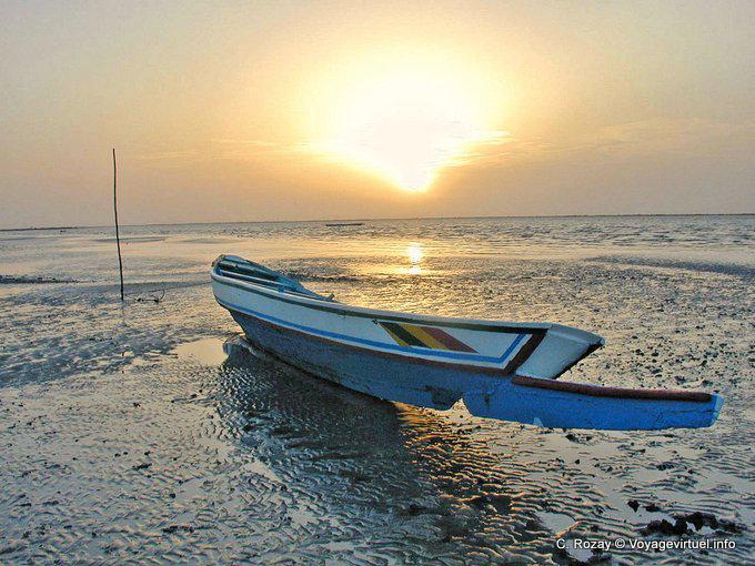 Barque long nose in the sun Sine Saloum - Senegal