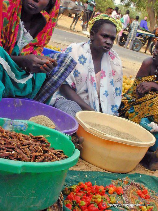 Market Foundiougne - Senegal