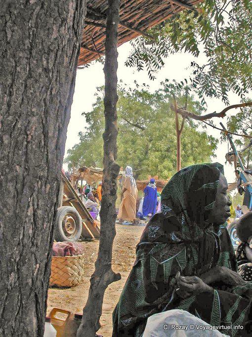 At the market, tree bark and woman dress - Senegal