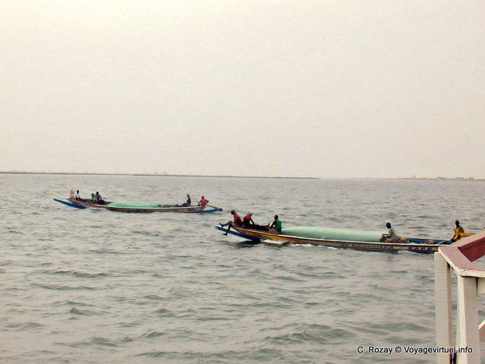 Fishermen in the process of navigating the Saloum - Senegal
