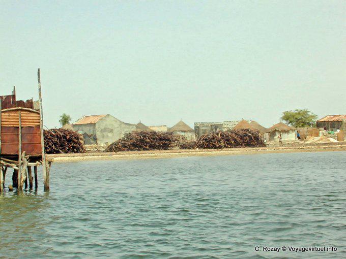 Precious woods by the river - Senegal