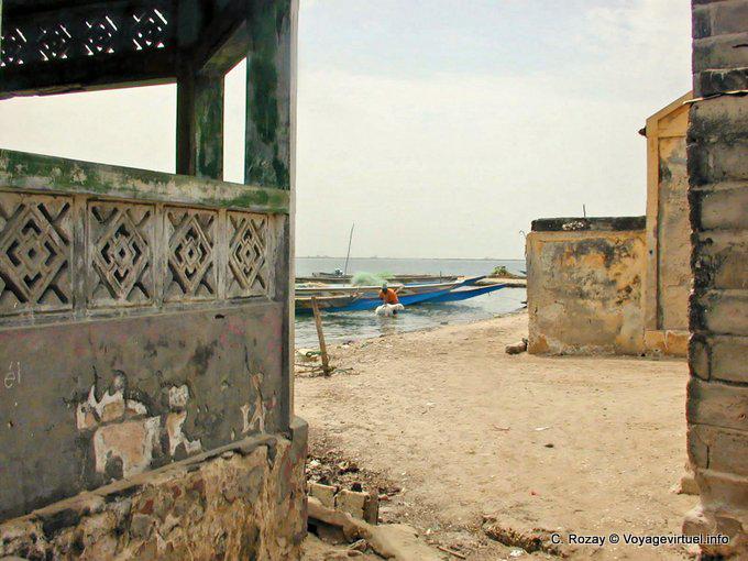 Bath sheep in a village in Saloum - Senegal