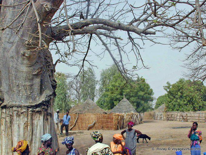 Caps in the village center - Senegal