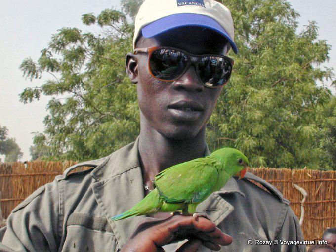 The guide and the small green parrot - Senegal
