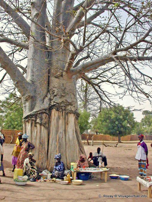 Small local market at the foot of the giant tree of bush village - Senegal